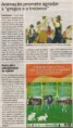 /album/iii-feira-de-ca%c3%a7a-e-pesca/iii-feira3-jpg/